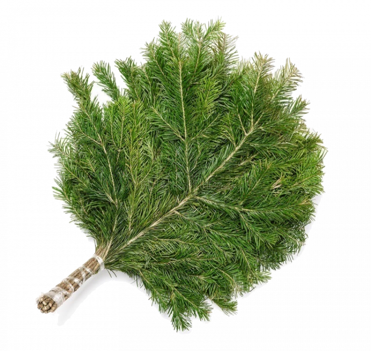 Букет из сибирской пихты (Пихтовый лапник)